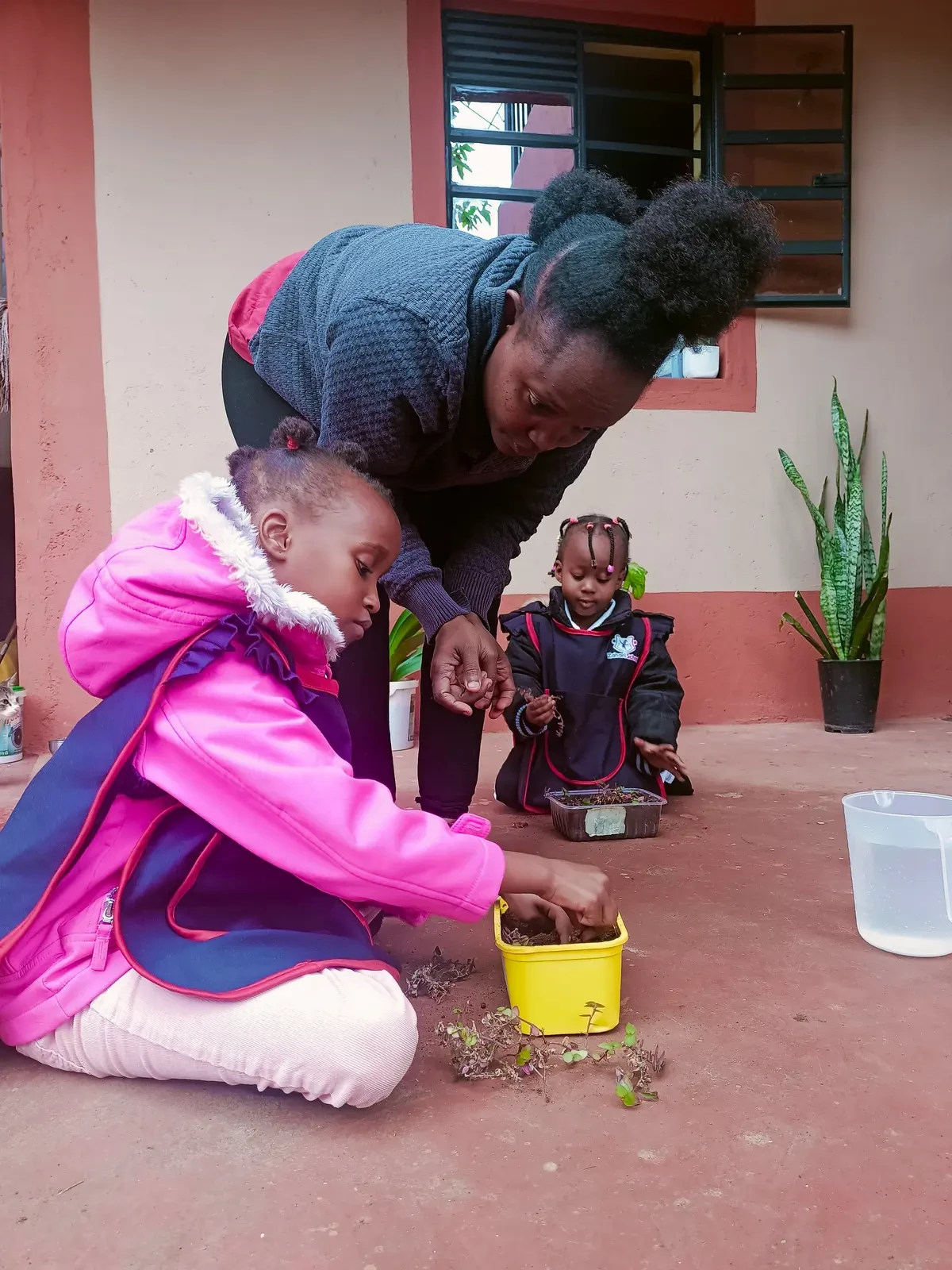 Farming & Nature — Planting Flowers 2