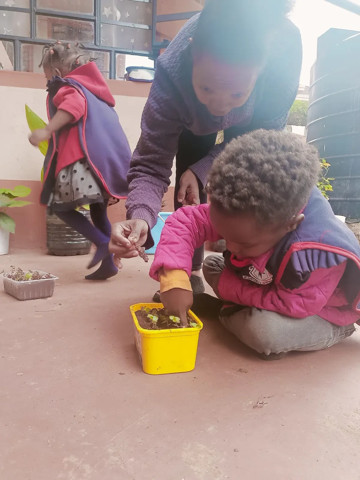 Farming & Nature — Planting Flowers 4