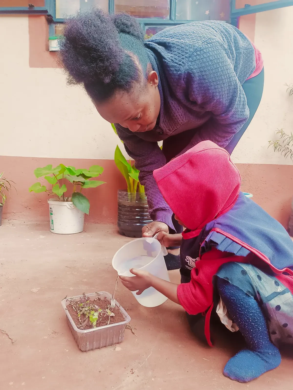 Farming & Nature — Planting Flowers 5
