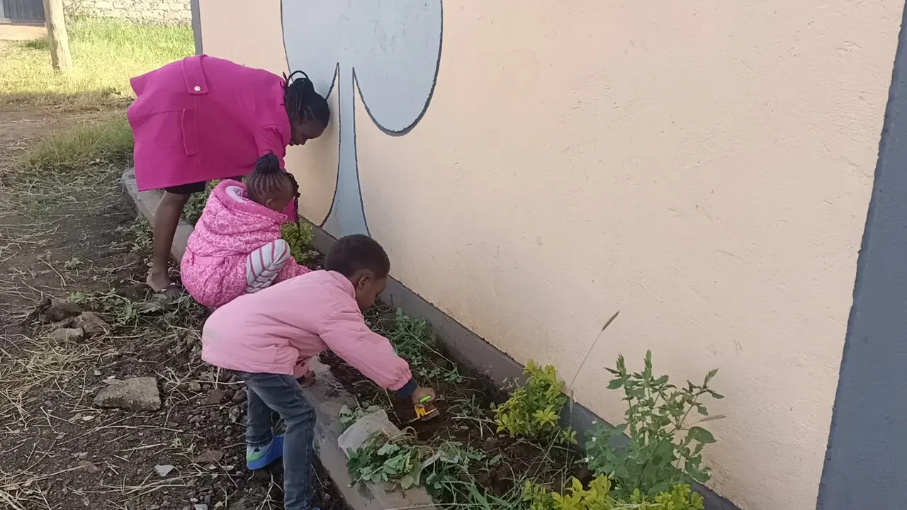 Farming & Nature — Planting Kales 1