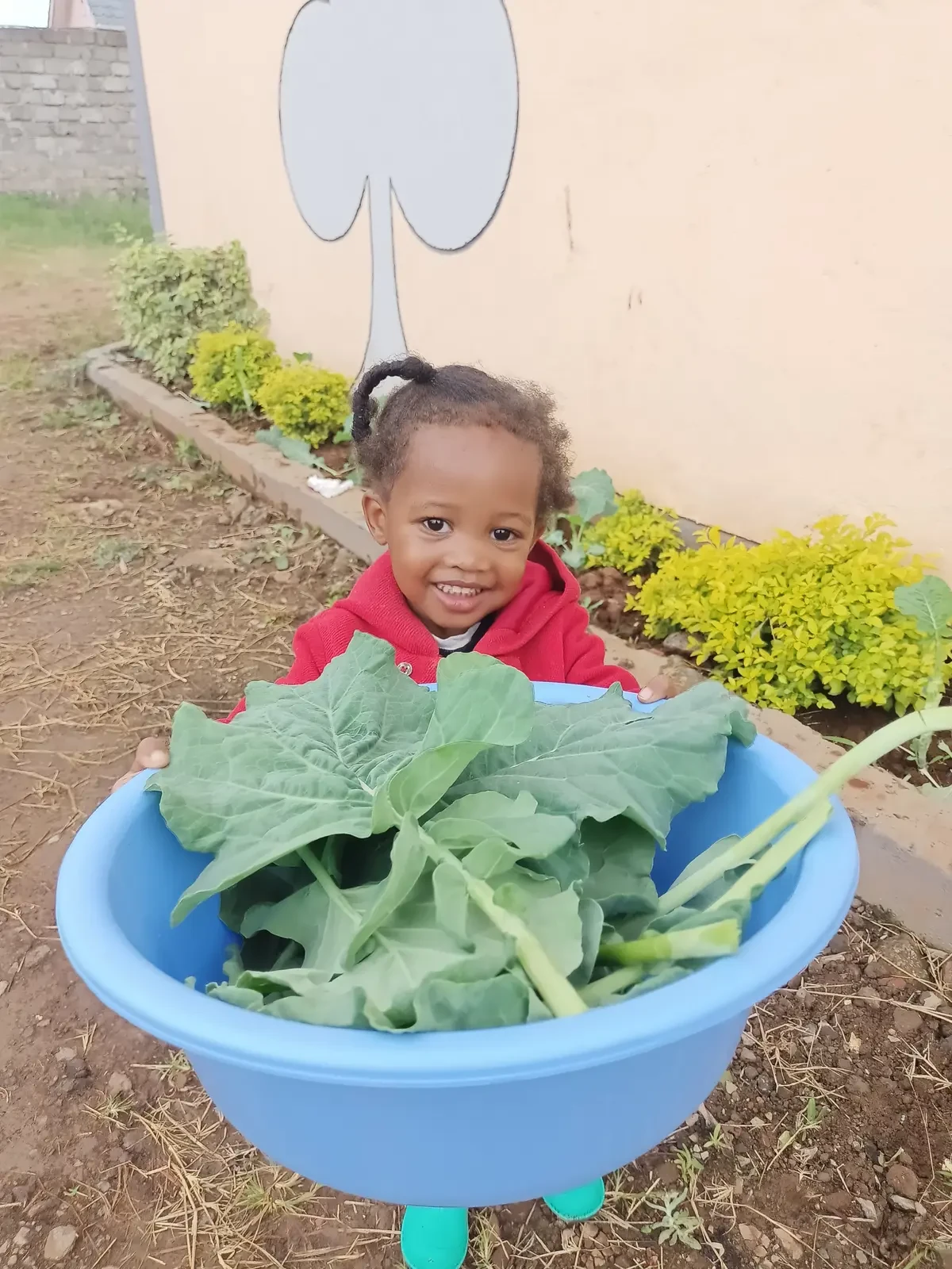 Farming & Nature — Planting Kales 10