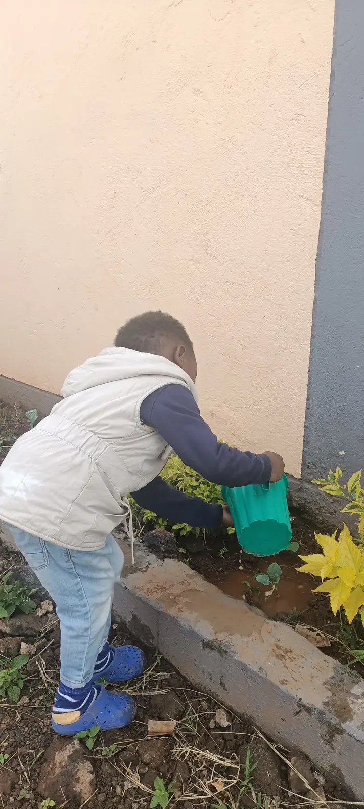 Farming & Nature — Planting Kales 5