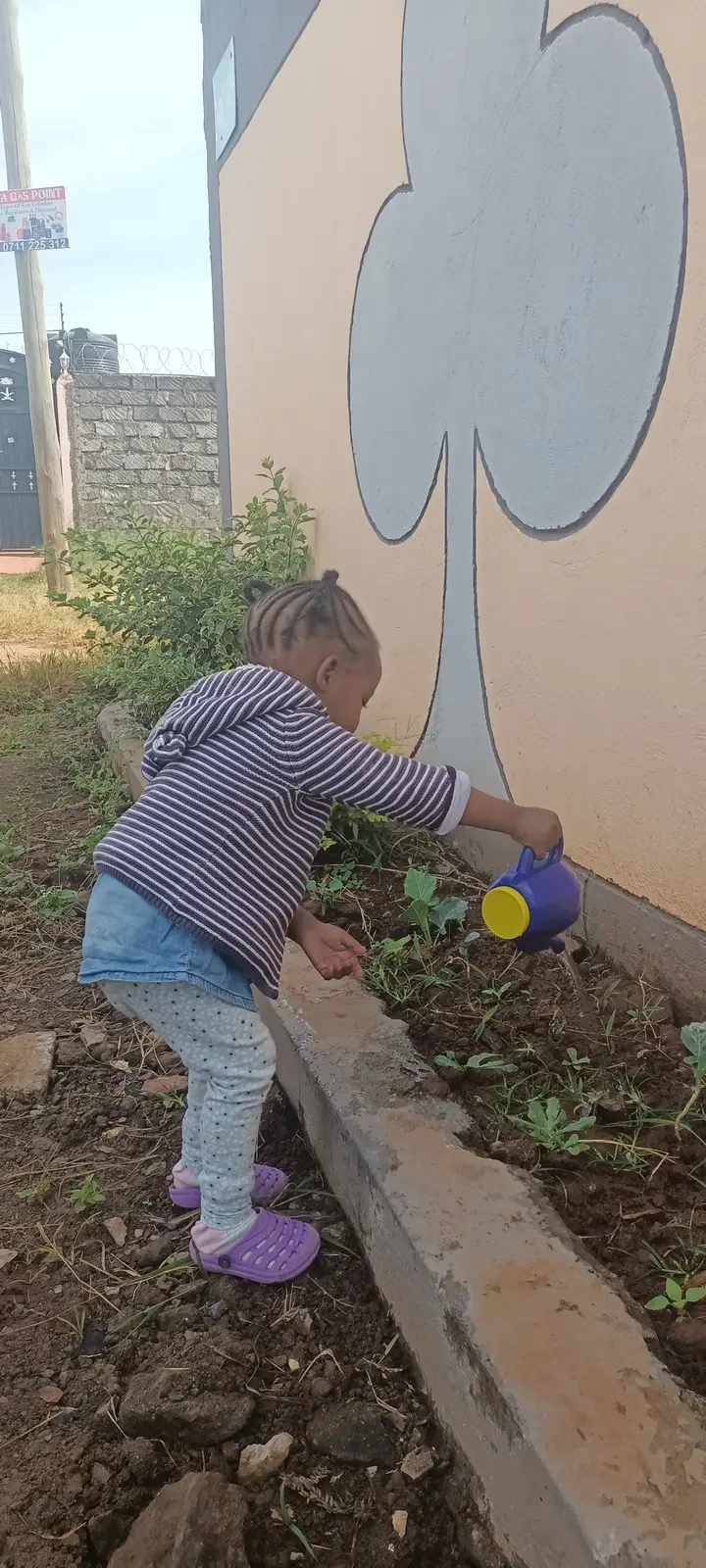 Farming & Nature — Planting Kales 7
