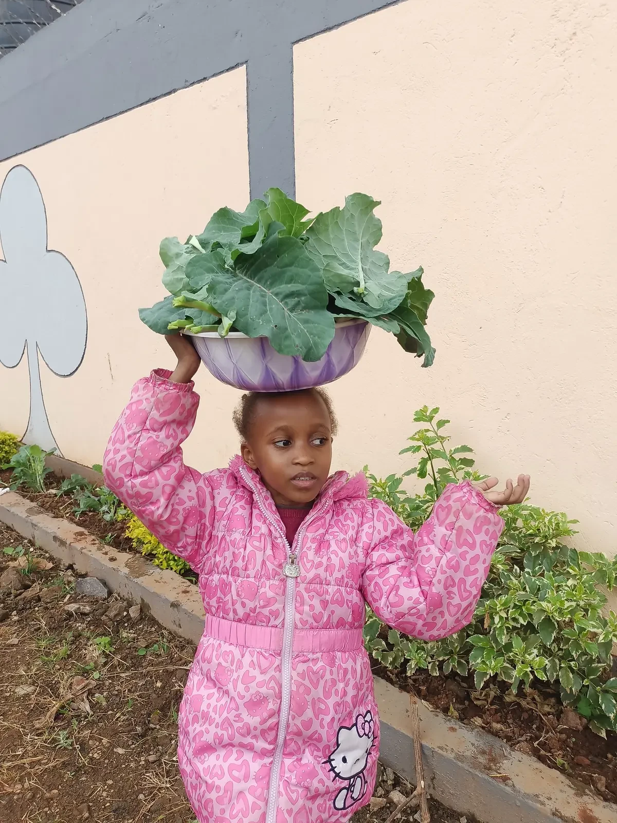 Farming & Nature — Planting Kales 8
