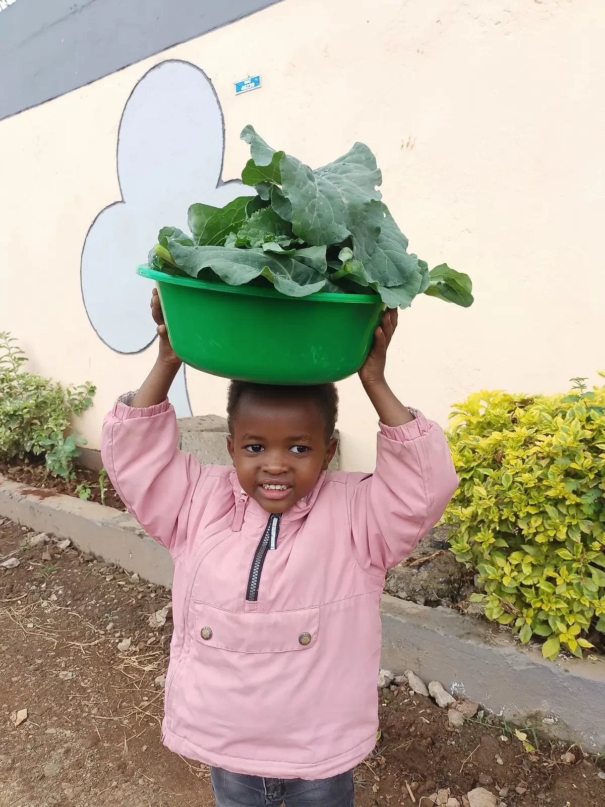 Farming & Nature — Planting Kales 9