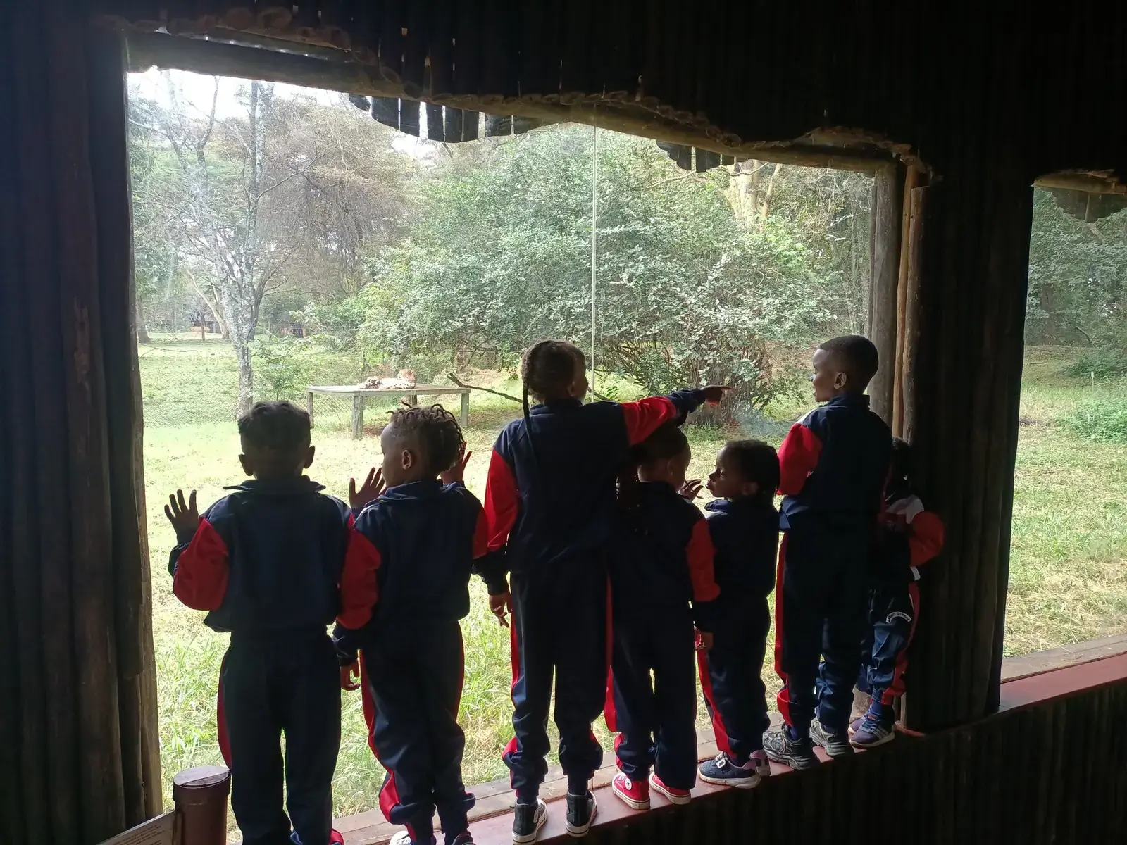 School Trips photo 1