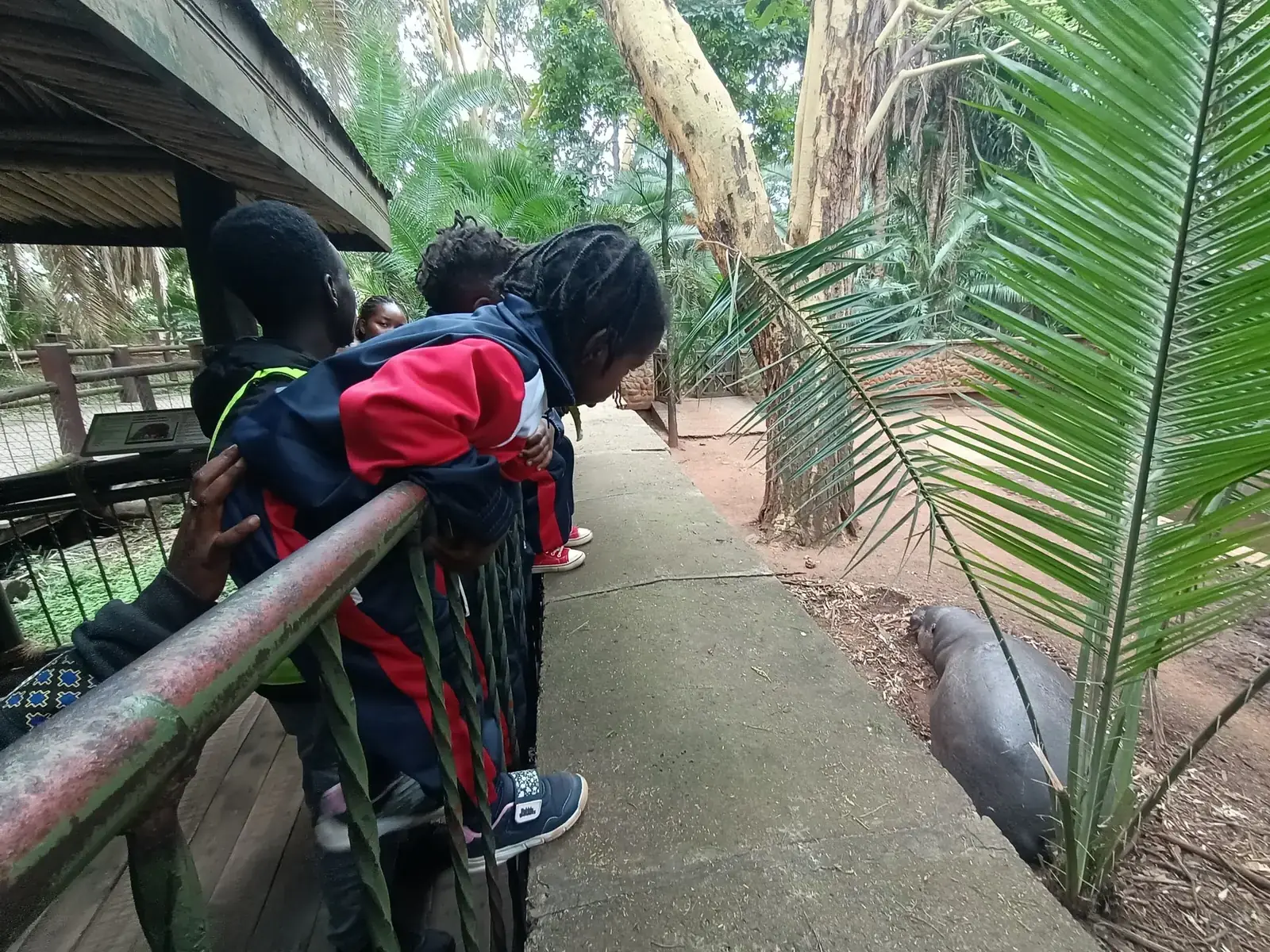 School Trips photo 2